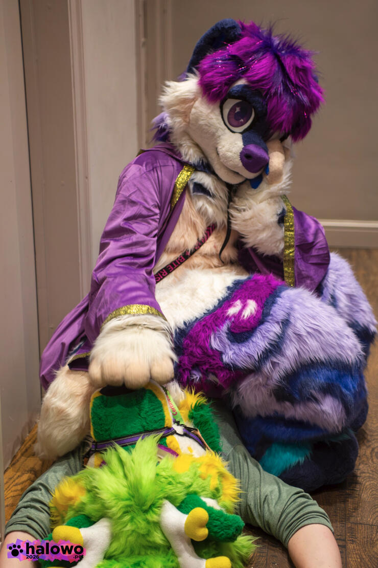 Neo sitting on top of Osprey while booping him