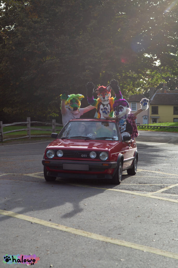 Osprey, Topaz and Neo Moonpaw waving out the windows of a red Volkswagen Golf GTI